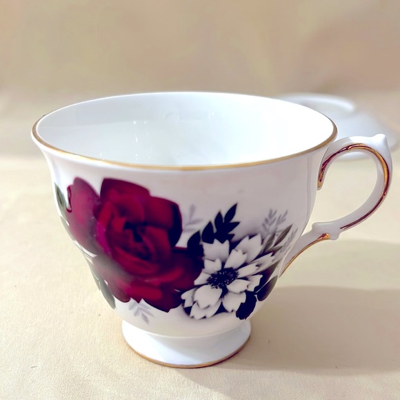 Burgundy Rose Tea Cup and Saucer Queen Anne Ridgway Potteries Tea Set E1216 - Picture 4 of 5